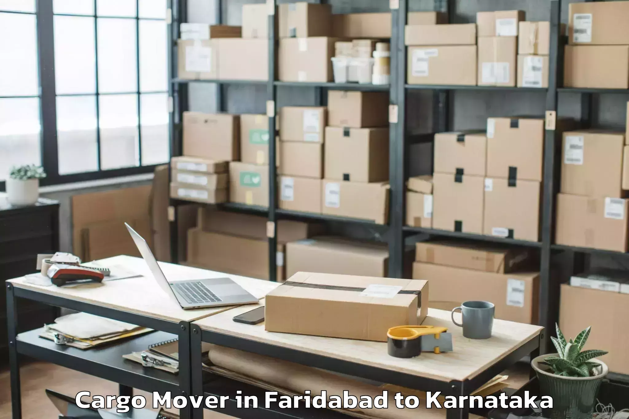 Affordable Faridabad to Panja Dakshin Kannad Cargo Mover